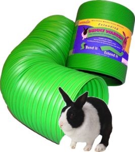 Bunny Tunnel | 7 things you need for looking after your pet bunny