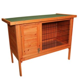 Outdoor Rabbit Hutch | 7 things you need for looking after your pet bunny