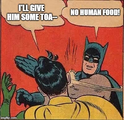 Batman and Robin Meme - No human food for rabbits