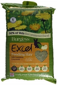 Excel Burgess with Dandelion and Marigold